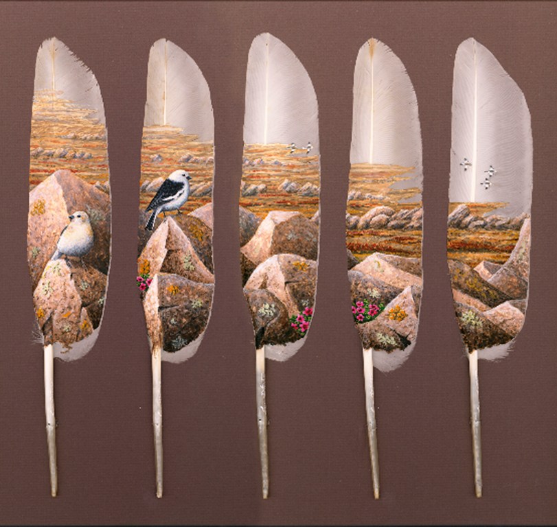 Feather Art by Ian Davie